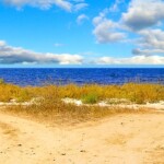 Redirection WordPress