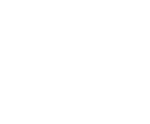 formation SEO