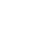 formation wordpress