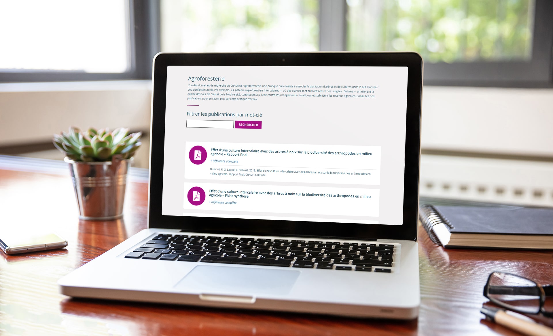 Programmation de modules WordPress
