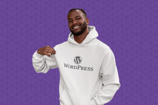 sécurité wordpress