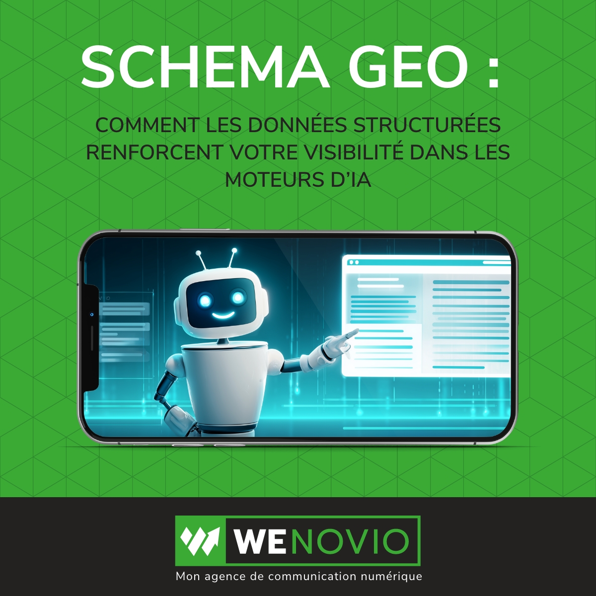 Schema GEO
