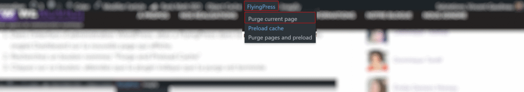FlyingPress